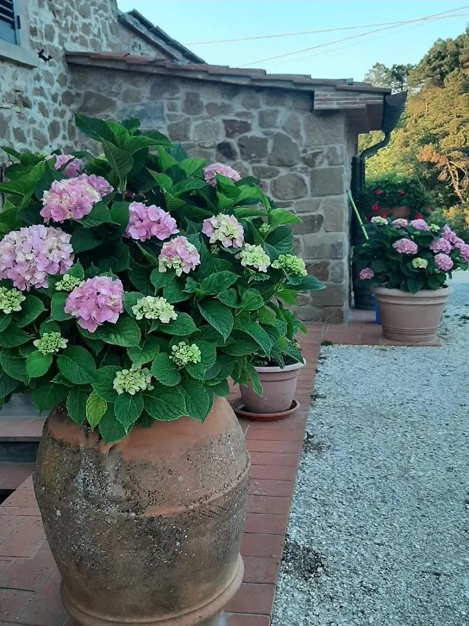 Apartment Sunset Valley - A Tuscan Experience Civitella in Val di Chiana
