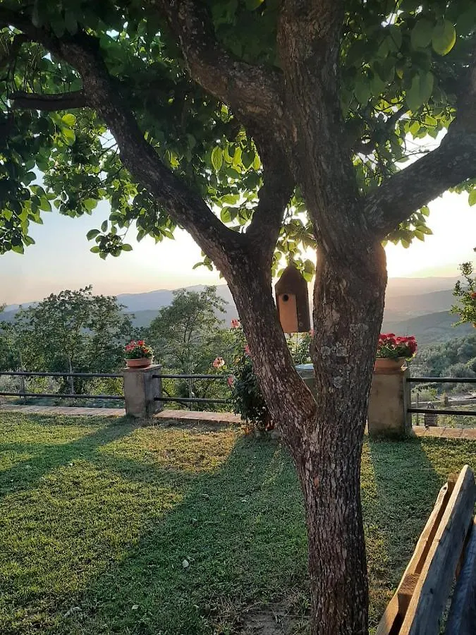 Sunset Valley - A Tuscan Experience Civitella in Val di Chiana Italy